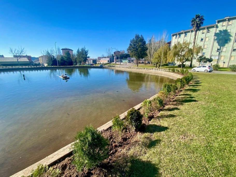 Apartamento Renovado No Centro Da Cidade - Casa4 Coimbra Exteriör bild